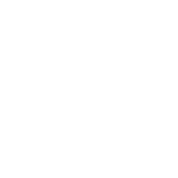 ce logo Salmon